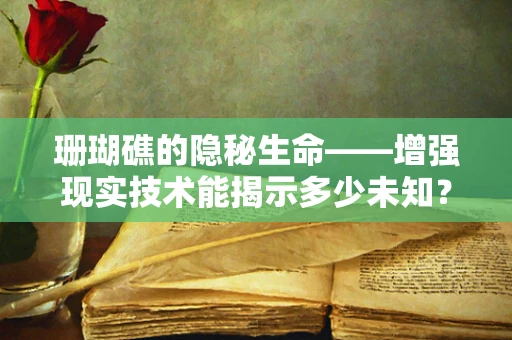 珊瑚礁的隐秘生命——增强现实技术能揭示多少未知？