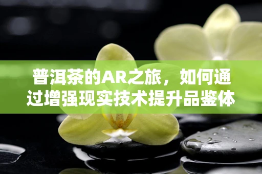 普洱茶的AR之旅，如何通过增强现实技术提升品鉴体验？