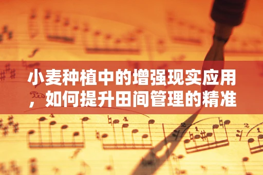 小麦种植中的增强现实应用，如何提升田间管理的精准度？