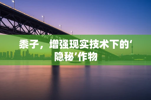 黍子，增强现实技术下的‘隐秘’作物