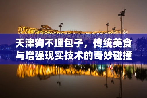 天津狗不理包子，传统美食与增强现实技术的奇妙碰撞