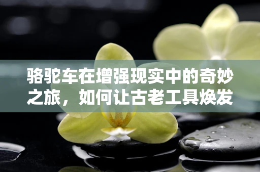 骆驼车在增强现实中的奇妙之旅，如何让古老工具焕发科技新颜？
