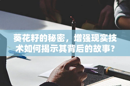 葵花籽的秘密，增强现实技术如何揭示其背后的故事？
