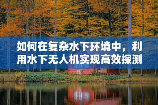 如何在复杂水下环境中，利用水下无人机实现高效探测？