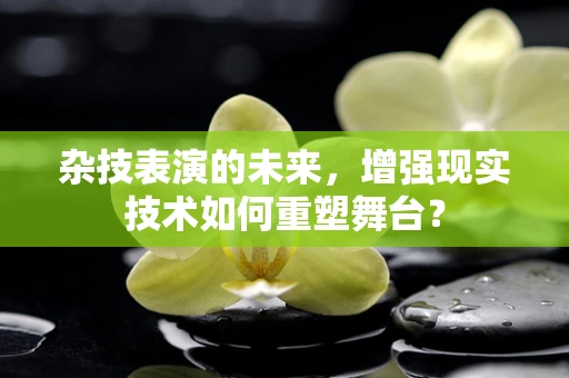 杂技表演的未来，增强现实技术如何重塑舞台？