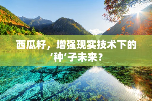 西瓜籽，增强现实技术下的‘种’子未来？