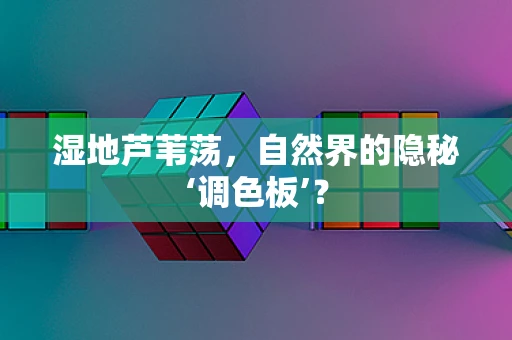 湿地芦苇荡，自然界的隐秘‘调色板’？