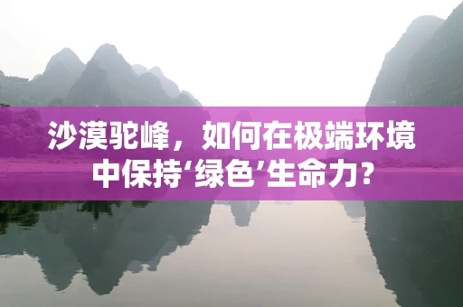 沙漠驼峰，如何在极端环境中保持‘绿色’生命力？