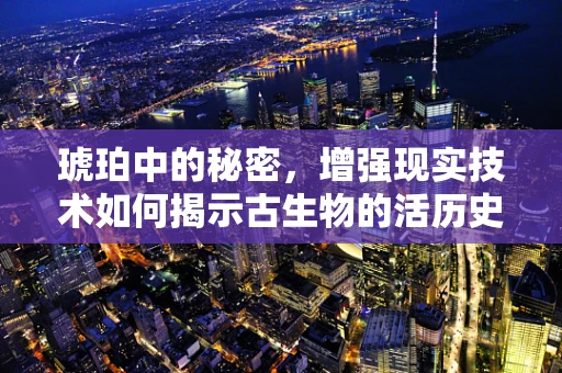 琥珀中的秘密，增强现实技术如何揭示古生物的活历史？