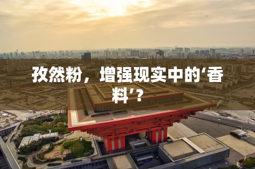 孜然粉，增强现实中的‘香料’？