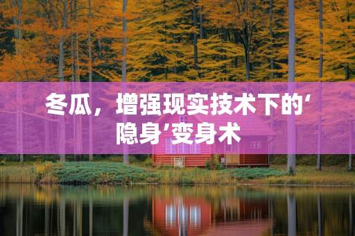 冬瓜，增强现实技术下的‘隐身’变身术