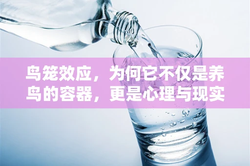 鸟笼效应，为何它不仅是养鸟的容器，更是心理与现实的交汇点？