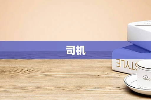 司机