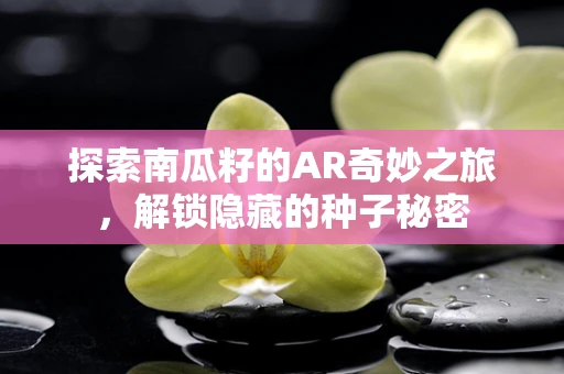 探索南瓜籽的AR奇妙之旅，解锁隐藏的种子秘密