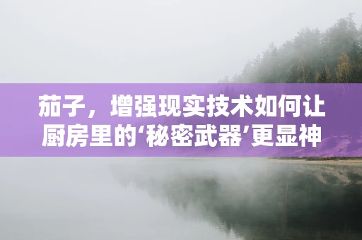 茄子，增强现实技术如何让厨房里的‘秘密武器’更显神奇？