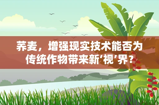 荞麦，增强现实技术能否为传统作物带来新‘视’界？