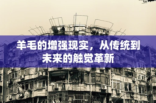 羊毛的增强现实，从传统到未来的触觉革新