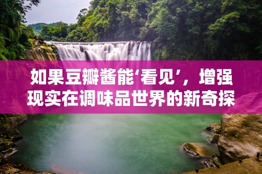 如果豆瓣酱能‘看见’，增强现实在调味品世界的新奇探索