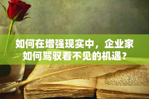 如何在增强现实中，企业家如何驾驭看不见的机遇？