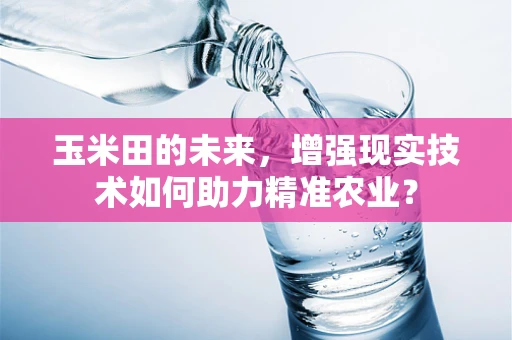 玉米田的未来，增强现实技术如何助力精准农业？