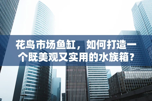 花鸟市场鱼缸，如何打造一个既美观又实用的水族箱？