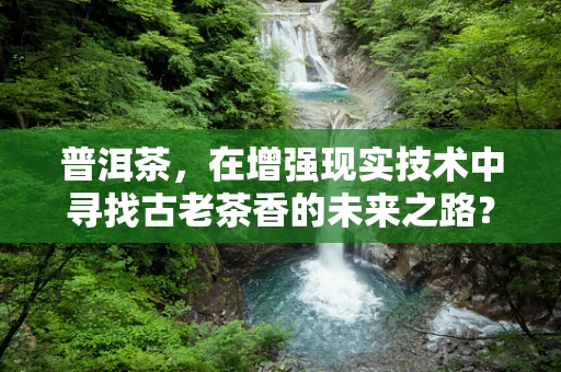 普洱茶，在增强现实技术中寻找古老茶香的未来之路？