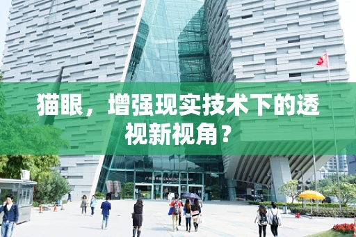 猫眼，增强现实技术下的透视新视角？