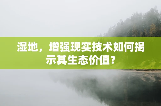 湿地，增强现实技术如何揭示其生态价值？