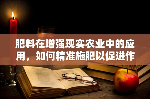 肥料在增强现实农业中的应用，如何精准施肥以促进作物生长？