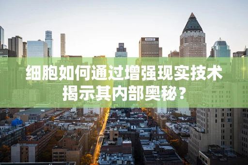 细胞如何通过增强现实技术揭示其内部奥秘？