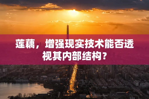 莲藕，增强现实技术能否透视其内部结构？