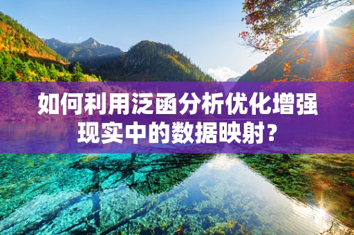 如何利用泛函分析优化增强现实中的数据映射？
