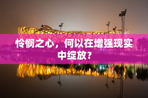 怜悯之心，何以在增强现实中绽放？