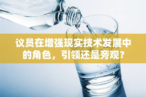 议员在增强现实技术发展中的角色，引领还是旁观？