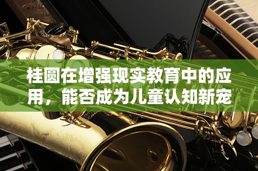 桂圆在增强现实教育中的应用，能否成为儿童认知新宠？