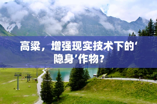 高粱，增强现实技术下的‘隐身’作物？
