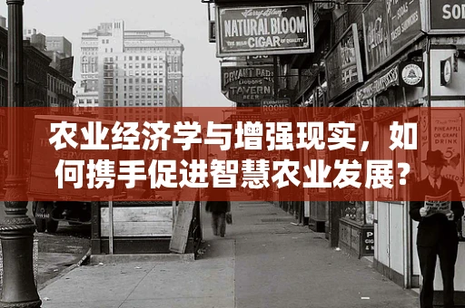 农业经济学与增强现实，如何携手促进智慧农业发展？