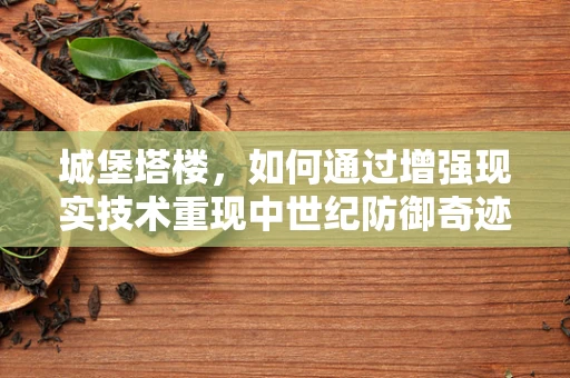 城堡塔楼，如何通过增强现实技术重现中世纪防御奇迹？