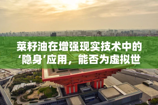 菜籽油在增强现实技术中的‘隐身’应用，能否为虚拟世界带来无形的润滑？